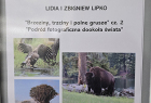 Brzeziny_trzciny_Lipko_2026_cz2_01